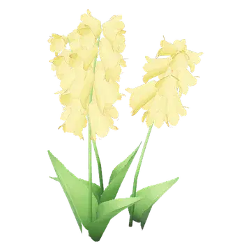 Blossoms