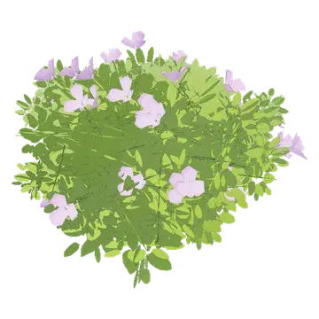 Flowering bush