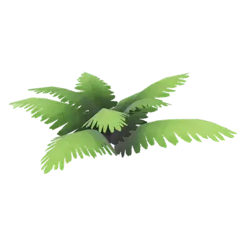 Fern