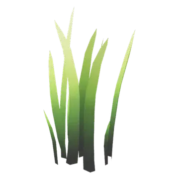 Grass