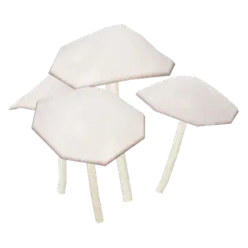 Mushrooms