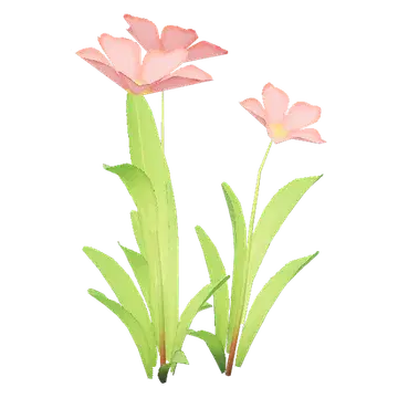 Wildflowers