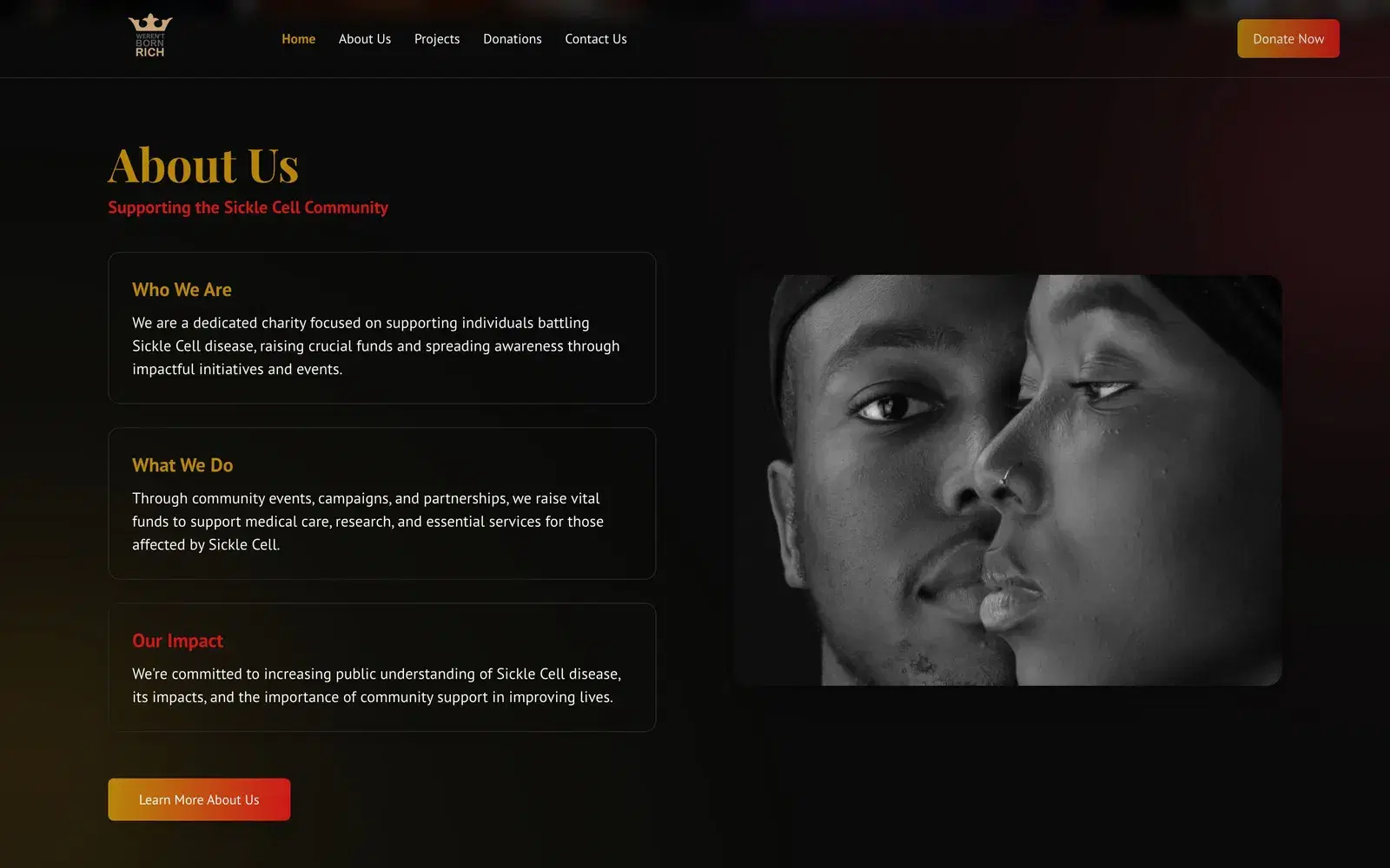 The About Us section: who they are, what they do and their impact