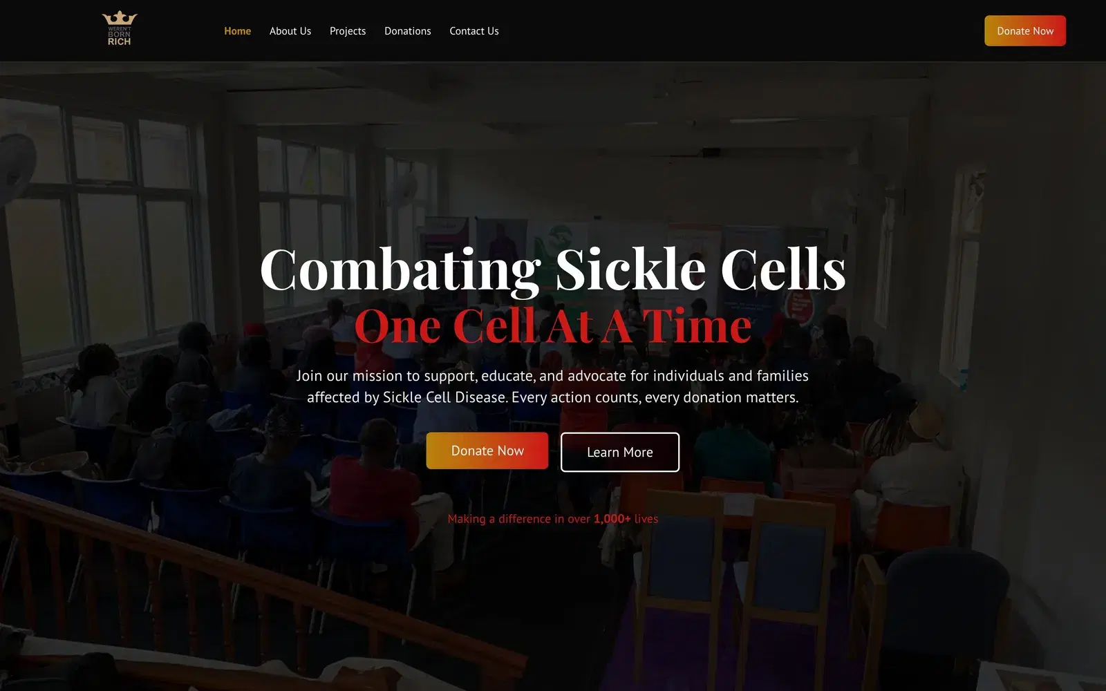 Weren't Born Rich homepage: 'Combating Sickle Cells, One Cell At A Time' over a photo of a community awareness event